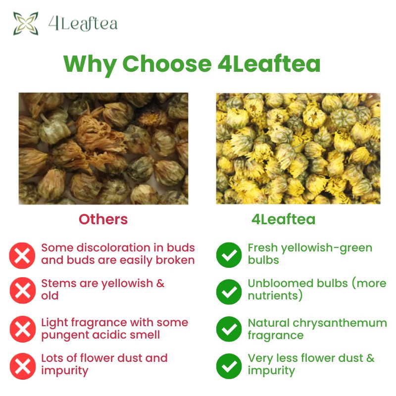 4Leaftea Royal Bloom Baby Chrysanthemum Flower Tea