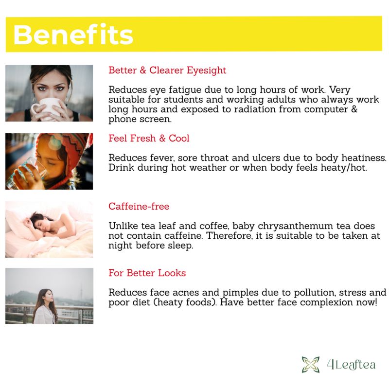 4Leaftea Royal Bloom Baby Chrysanthemum Flower Tea