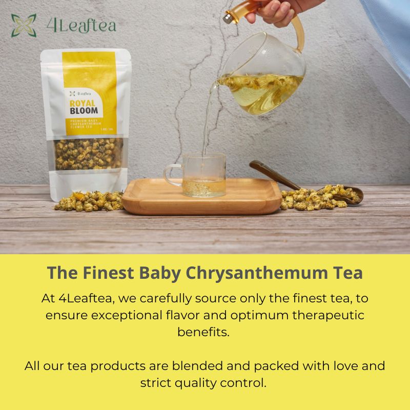 4Leaftea Royal Bloom Baby Chrysanthemum Flower Tea